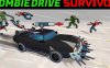 僵尸世界幸存者 Zombie Drive Survivor
