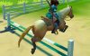 骑马3D Horse Ride 3D